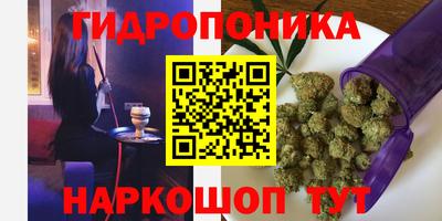 a pvp Можга