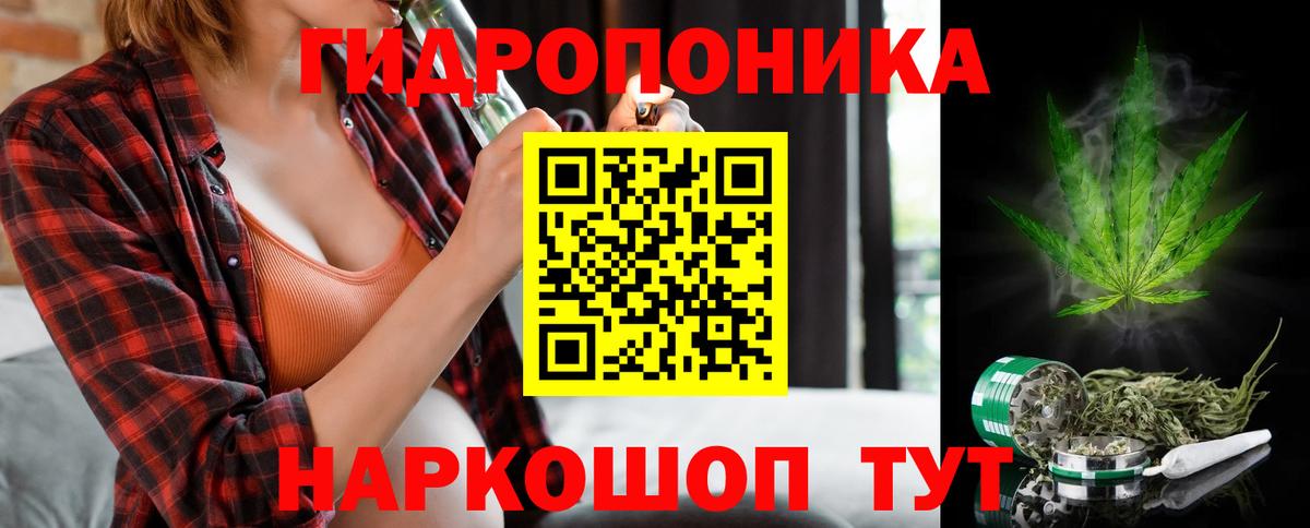 Шишки марихуана план  Вход с VPN  Железноводск  Канабис LSD WEED 